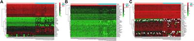 Bioinformatics Study Revealed Significance of Exosome Transcriptome in Hepatocellular Carcinoma Diagnosis